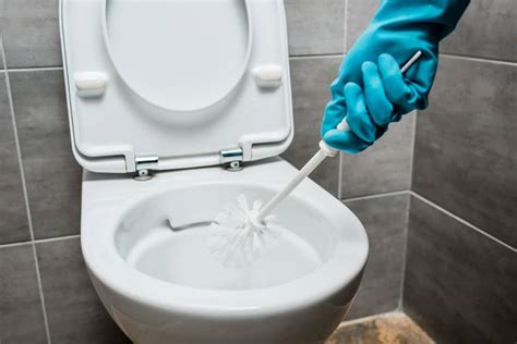 Black mold in toilet. Things To Know About Black mold in toilet. 
